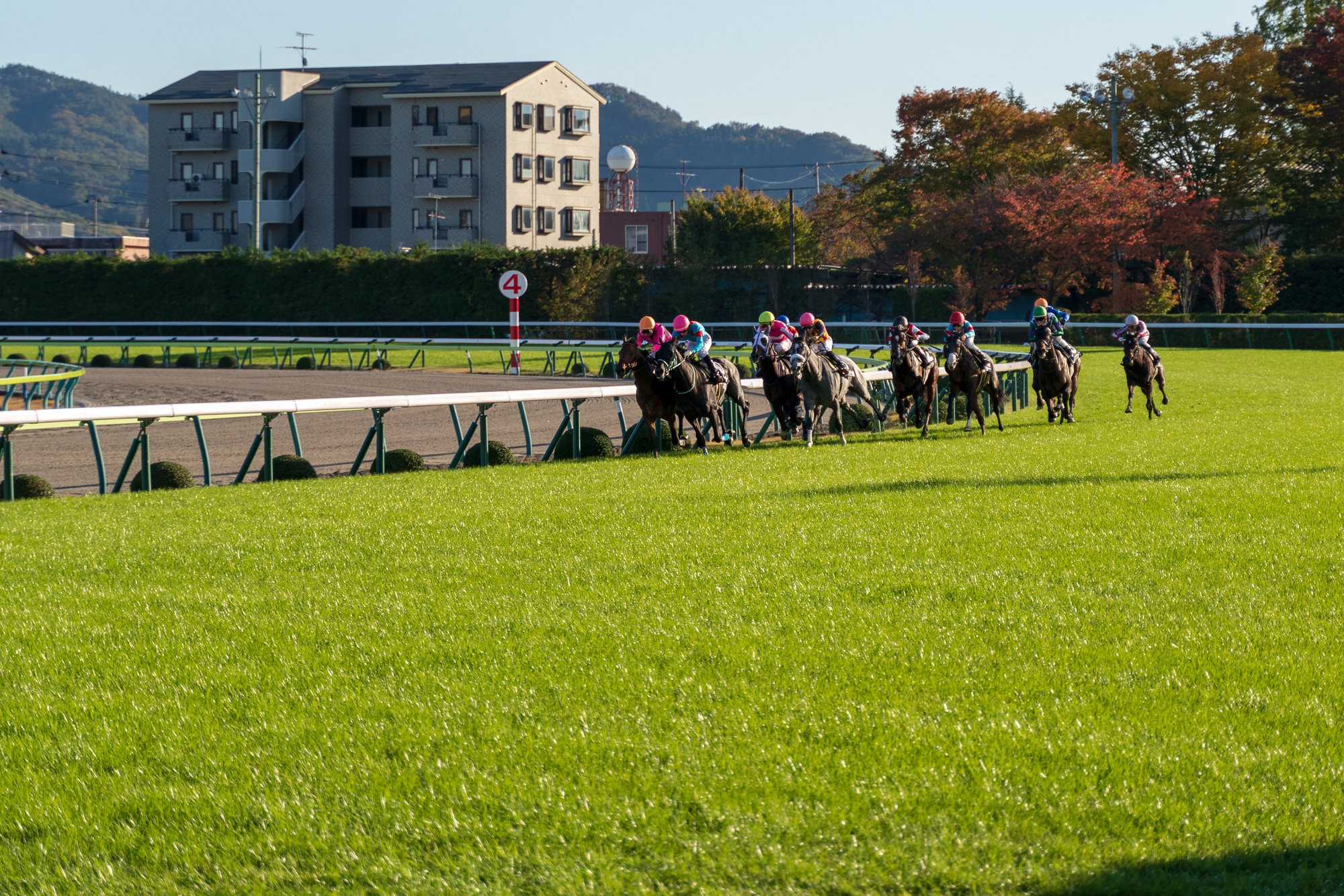 今日は何の日？】6月8日＝史上唯一の珍事、福島競馬で全頭が落馬して 