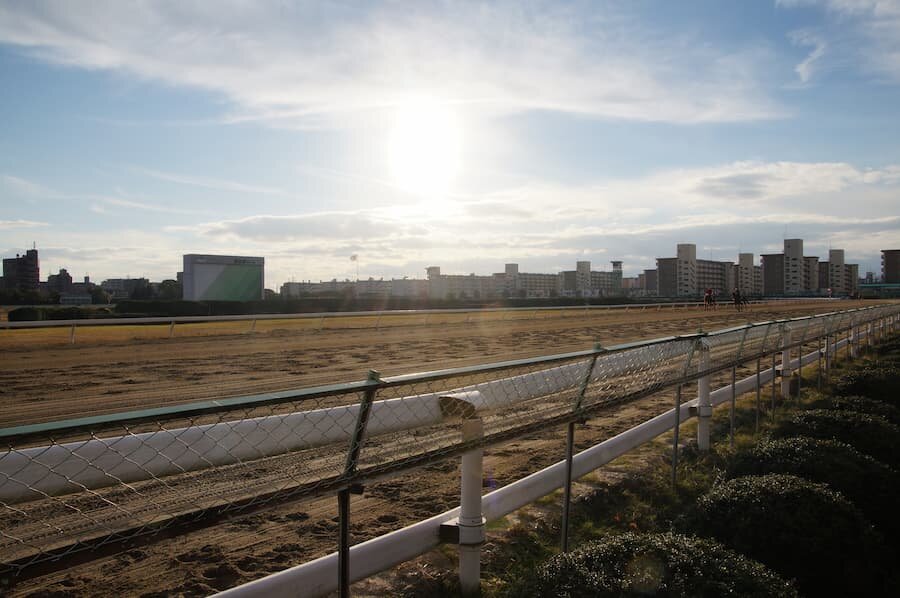 07月19日(名古屋競馬場).jpg
