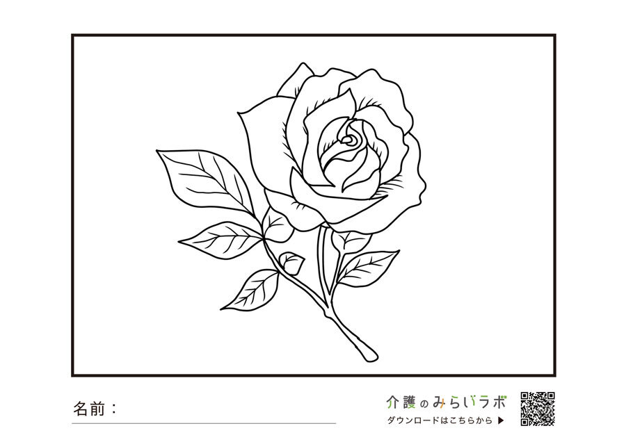 rose1_main.jpg