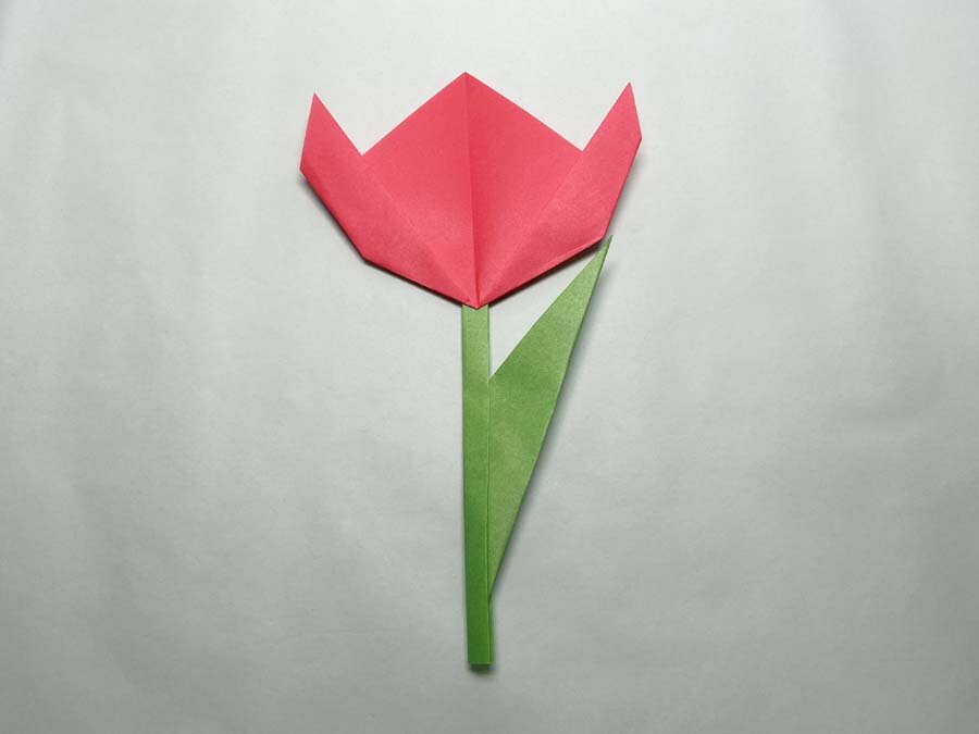 4-1_tulip.jpg