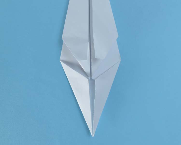 swan13.jpg