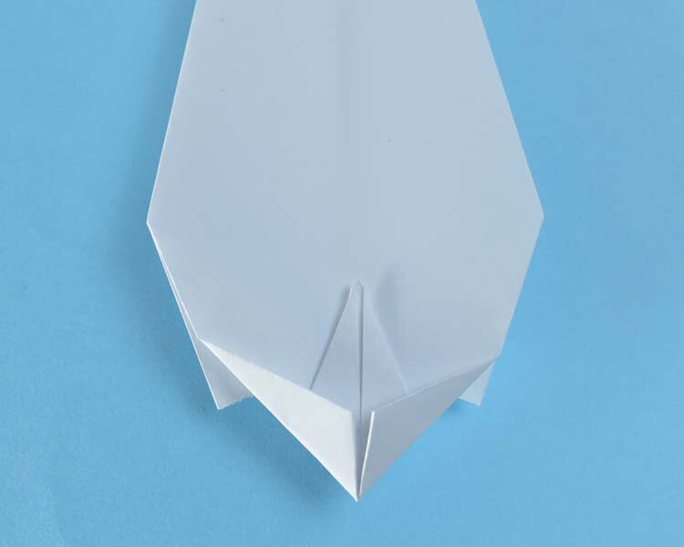 swan19.jpg