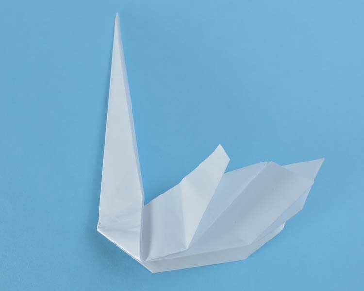 swan23.jpg