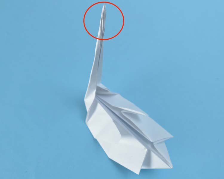 swan26.jpg
