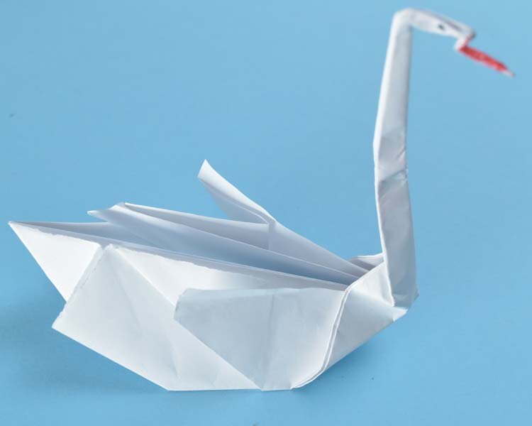 swan29.jpg