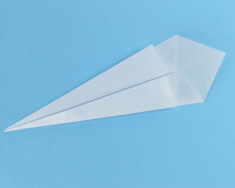 swan6.jpg